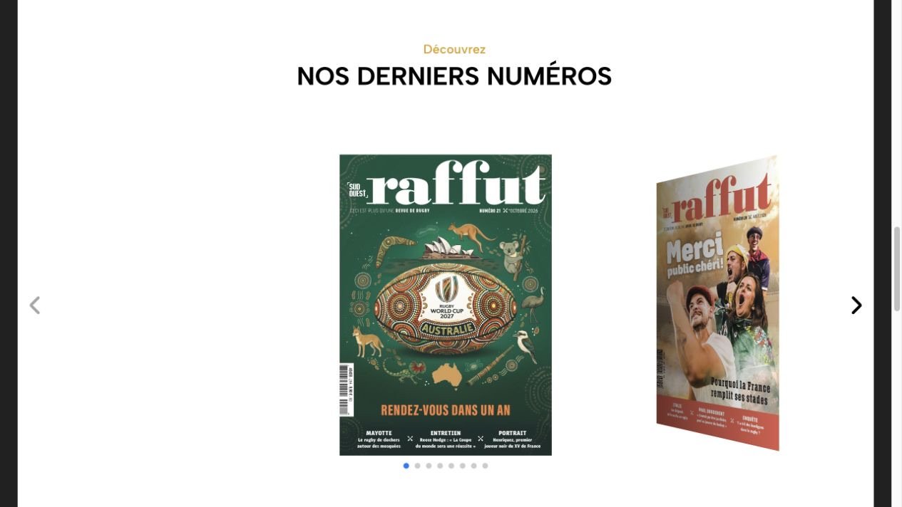Aperçu du site Raffut — Détail